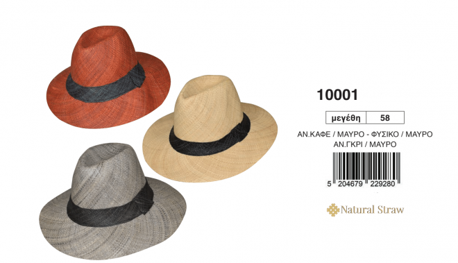 10001τελικό