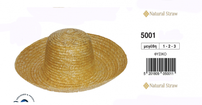 5001_τελικο