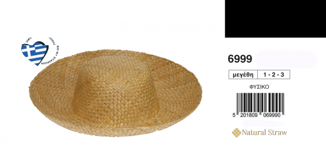 6999τελικο